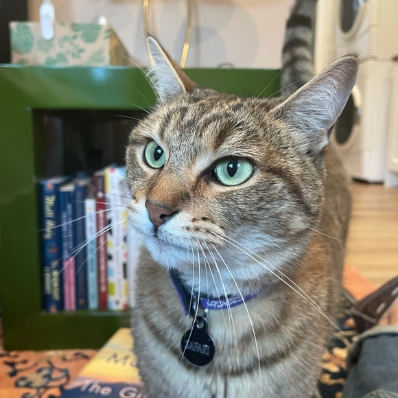 Hi! - Picture 5 of 6